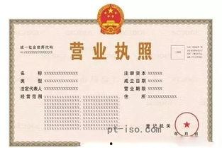 营业执照照片什么颜色,映照企业活力无限
